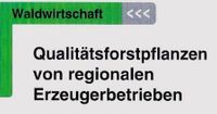 Qualitätsforstpflanzen von regionalen Erzeugerbetrieben | EZG für Qualitätsforstpflanzen „Süddeutschland“