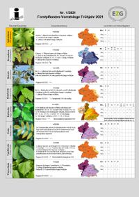 Verfügbarkeit Forstpflanzen | | EZG für Qualitätsforstpflanzen „Süddeutschland“