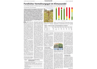 Forstvermehrungsgut Klimawandel | EZG für Qualitätsforstpflanzen „Süddeutschland“